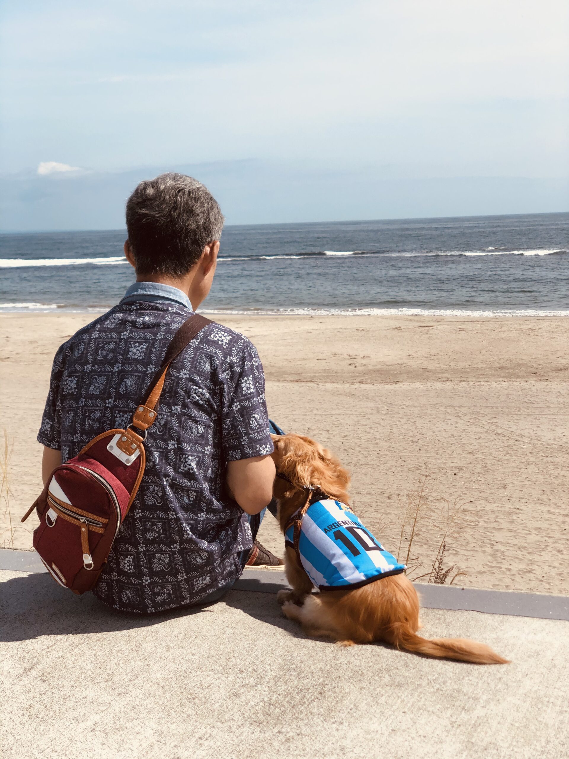 ワンコのいる風景